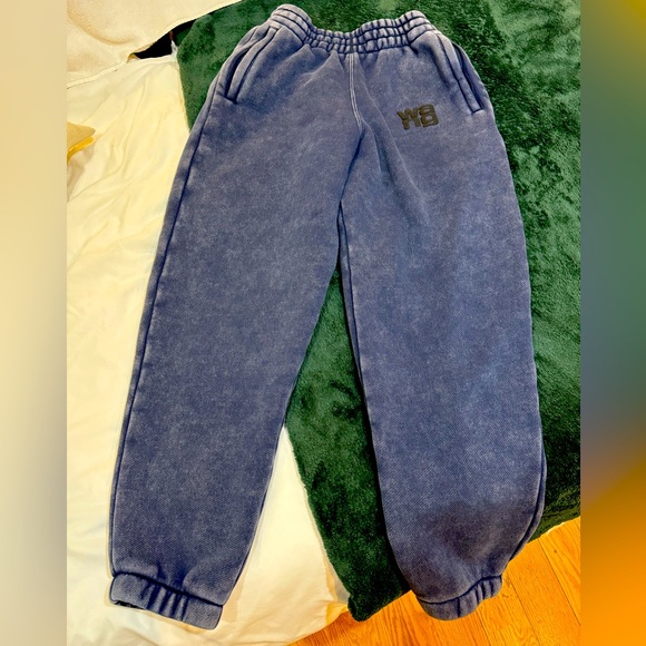 Alexander Wang Puff Logo Sweatpants/Color: blue/Size XS(they run oversized)